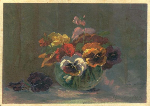 Stiefmütterchen Vorderseite