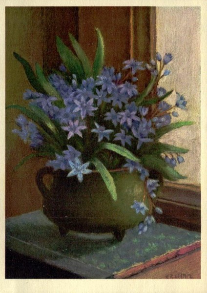 Blaustern Vorderseite