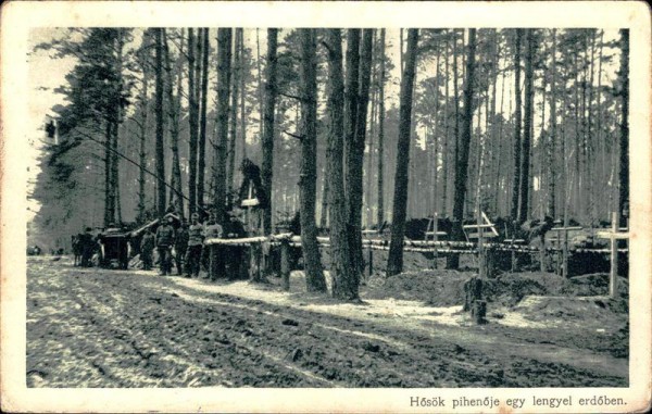 Helden Friedhof in einem polnischen Wald Vorderseite