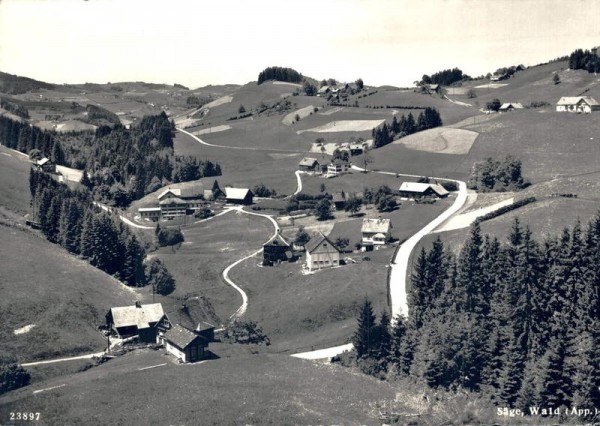 Säge, Wald AR Vorderseite