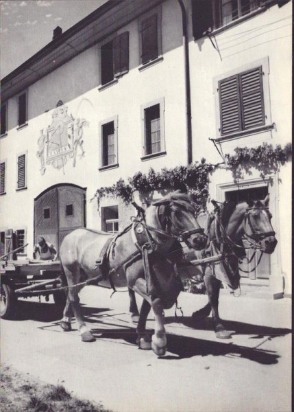 Neunkirch, Bauernhof Vorderseite