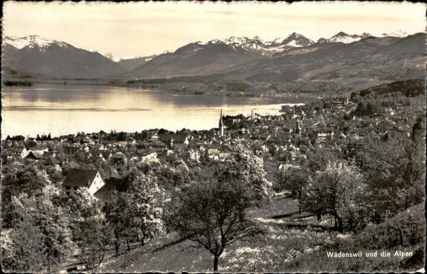 Wädenswil und die Alpen Vorderseite