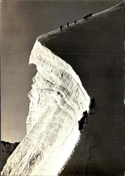 Biancograt am Piz Bernina Vorderseite