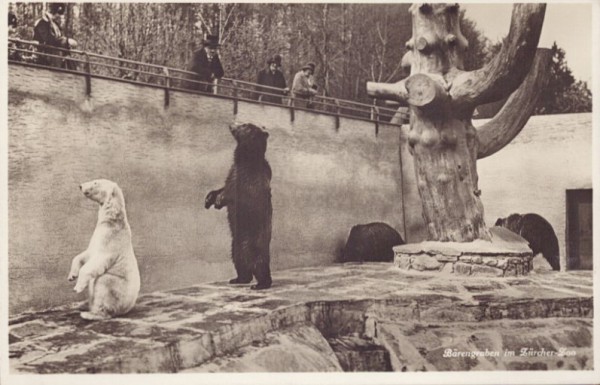 Bärengraben im Zürcher-Zoo