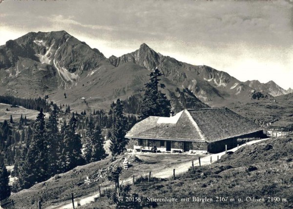 Stierenhütte mit Bürglen u. Ochsen Vorderseite