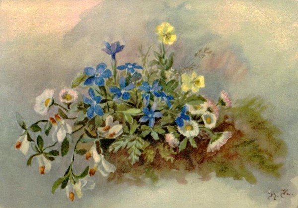 Bergblumen Vorderseite