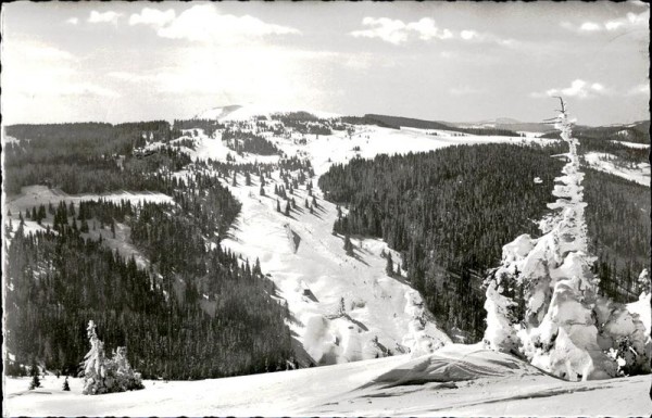 Schwarzwald Vorderseite