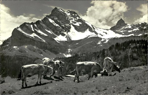 Braunwald (1300 m) Vorderseite