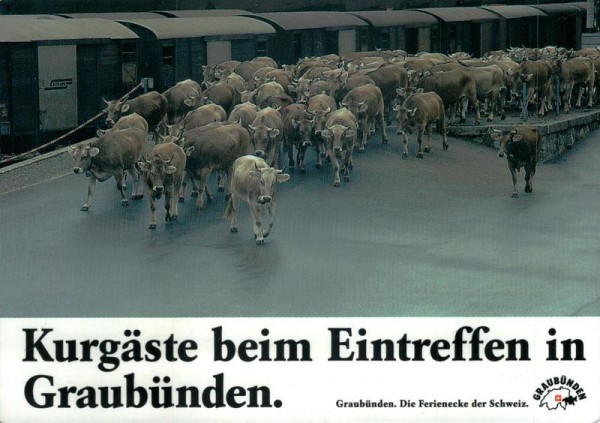 Übersommern in Graubünden Vorderseite