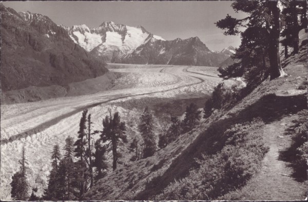 Naturschutzgebiet Aletschwald (Aletschgletscher)