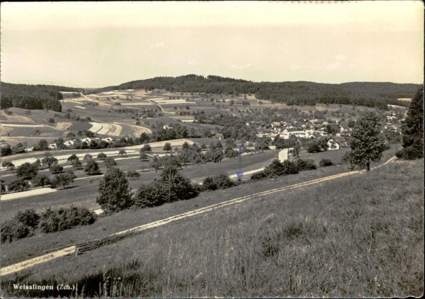 Weisslingen Vorderseite