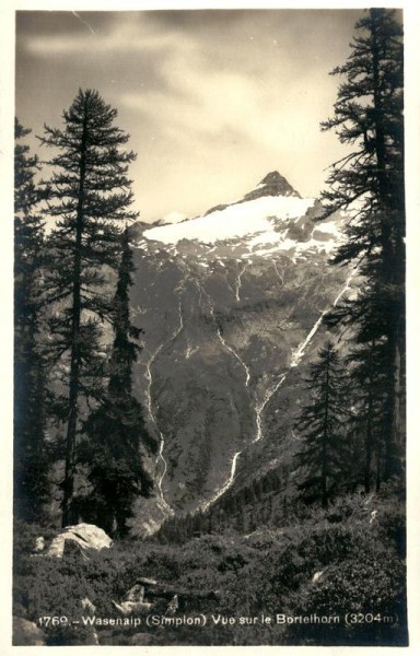 Simplon Vorderseite