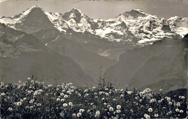 Interlaken. Eiger - Mönch - Jungfrau Vorderseite