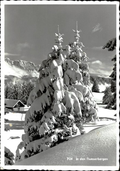 In den Flumserbergen Vorderseite