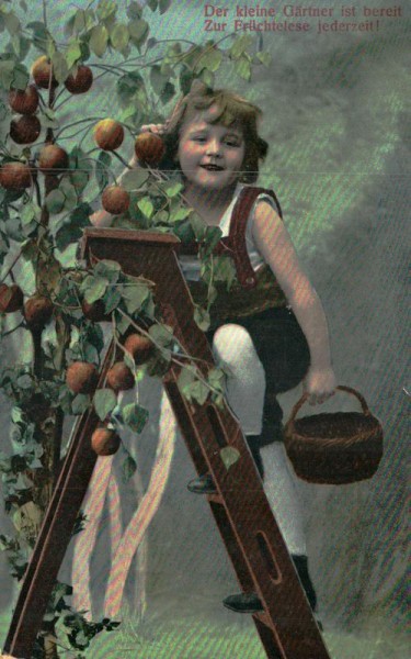 Der kleine Gärtner ist bereit Zur Früchtelese jederzeit! Vorderseite