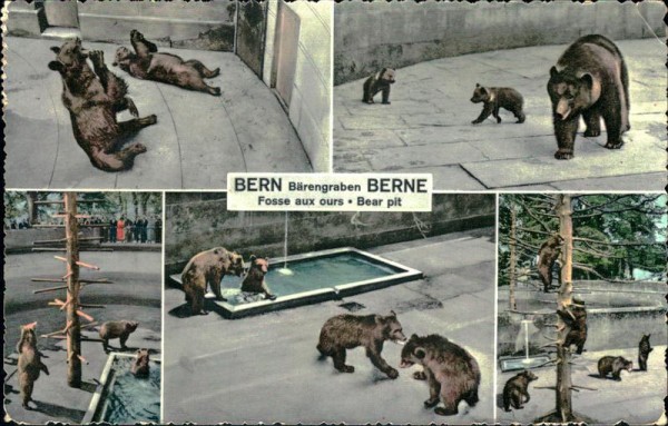 Bärengraben (Bern) Vorderseite