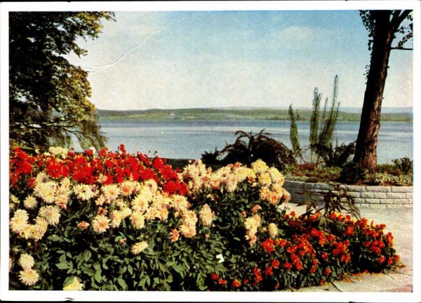 Mainau Vorderseite