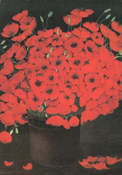 Klatschmohn Vorderseite