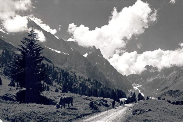 Am Weg nach Arnialp Vorderseite