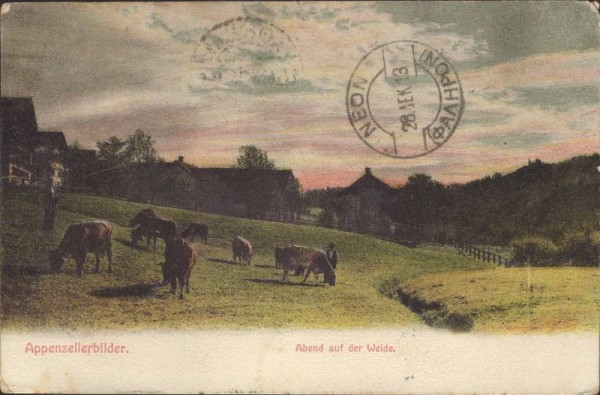 Abend auf der Weide