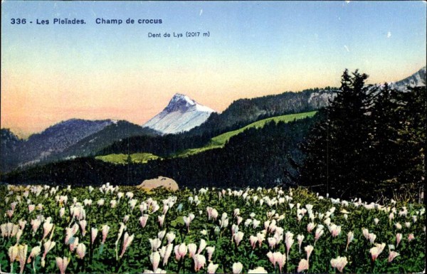 Les Pléiades Vorderseite