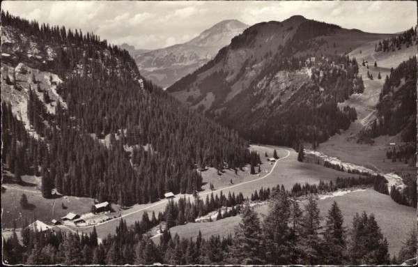 Lenk Vorderseite