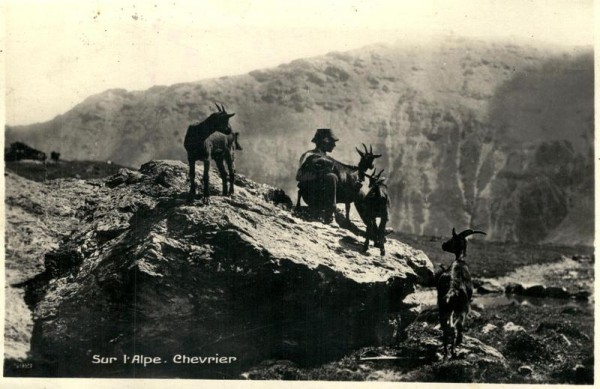 Sur l'Alpe. Chevrier Vorderseite