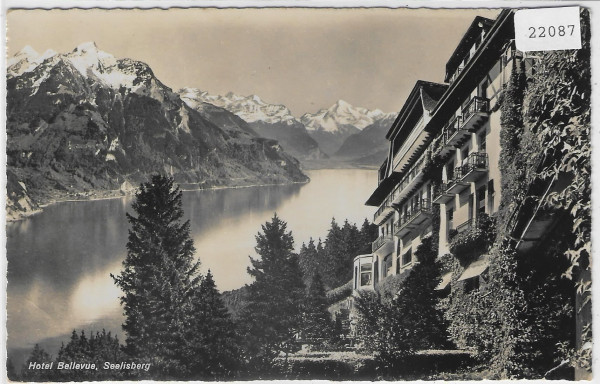 Hotel Bellevue - Seelisberg