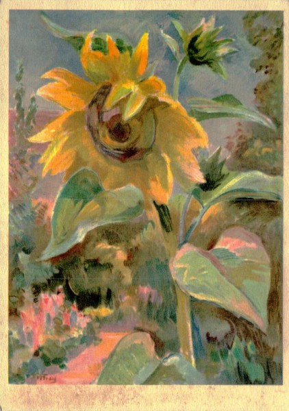 Margherita Frey, Sonnenblumen Vorderseite