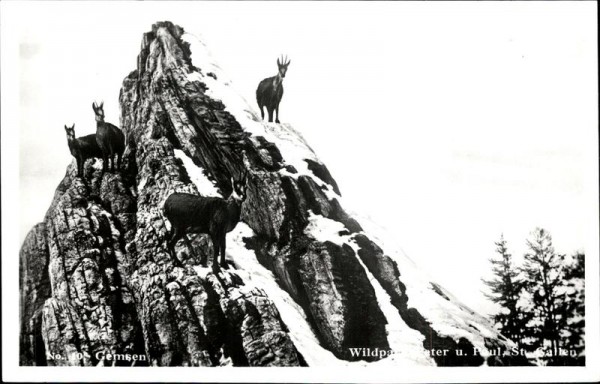 Wildpark Peter und Paul Vorderseite