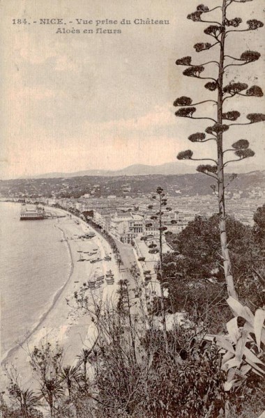 Nizza Vorderseite