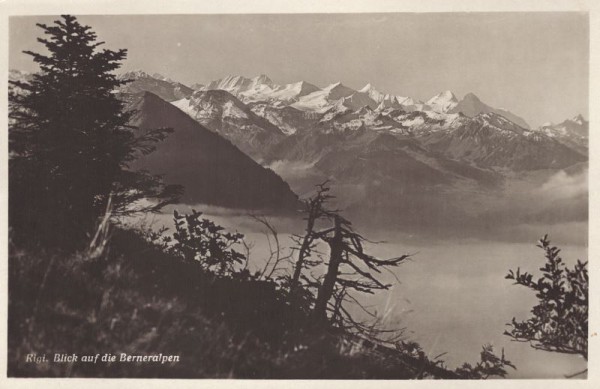 Rigi - Blick auf die Berneralpen
