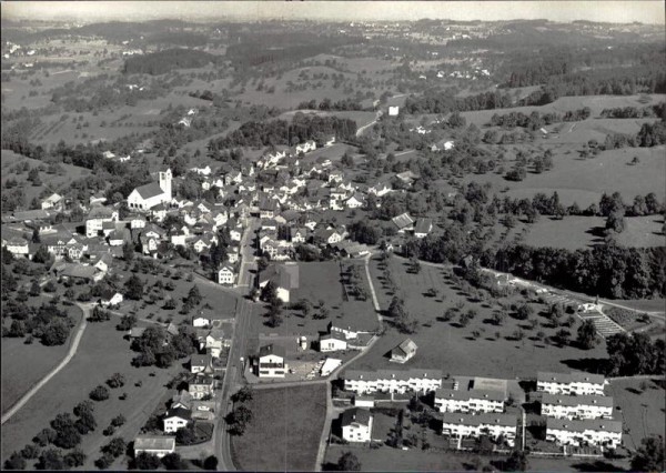 Waldkirch, Flugaufnahme Vorderseite