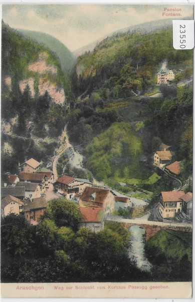 Araschgen - Weg zur Schlucht vom Kurhaus Passugg gesehen