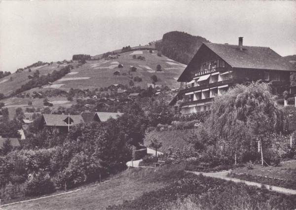 Erholungsheim Niesenblick, Sigriswil Vorderseite