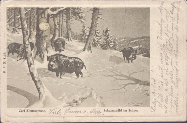 Schwarzwild im Schnee, Carl Zimmermann Vorderseite