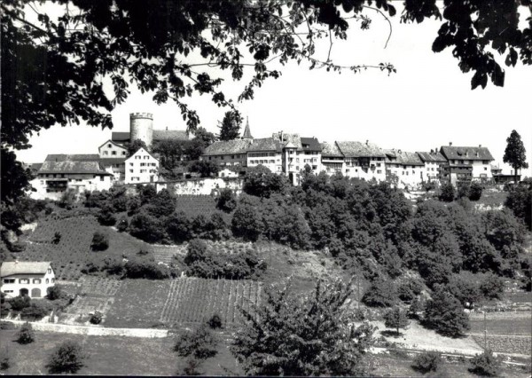 Regensberg, Flugaufnahme Vorderseite