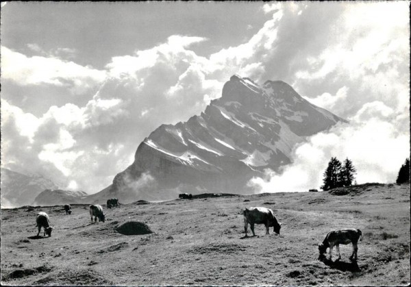 Braunwald-Alp Vorderseite