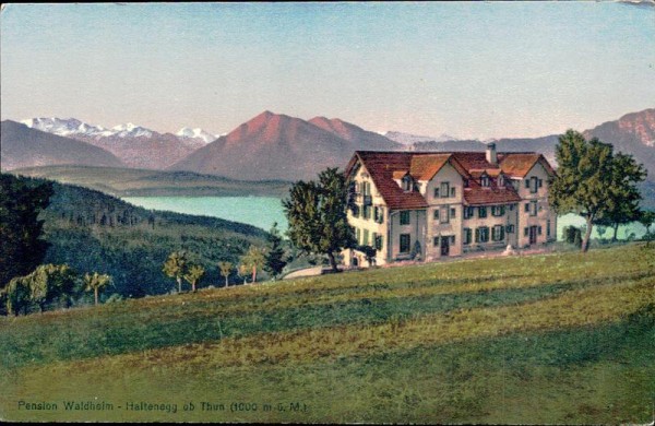 Haltenegg ab Thun, Pension Waldheim Vorderseite