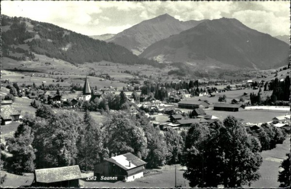 Saanen Vorderseite