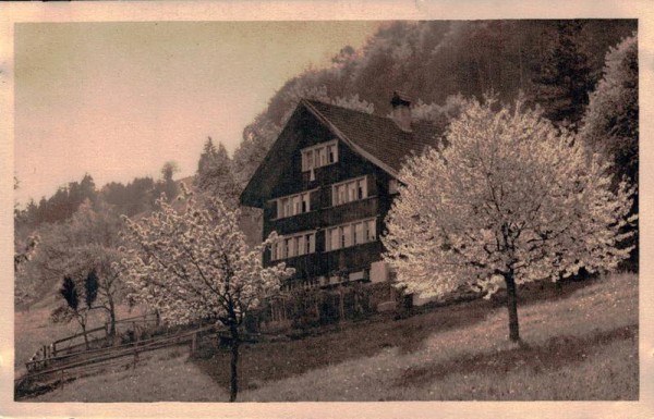 Frühling und Sommer. Haus mit Bäumen. Photostudien Hausamann Vorderseite