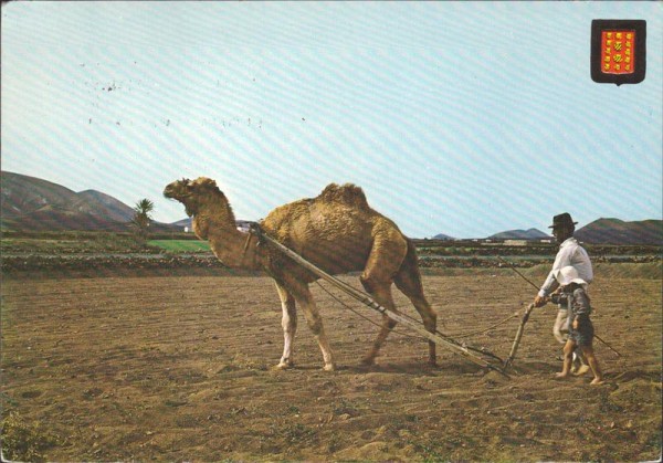 Lanzarote Vorderseite