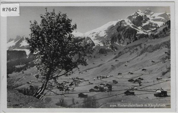 Hintersteinibach mit Kärpfstock