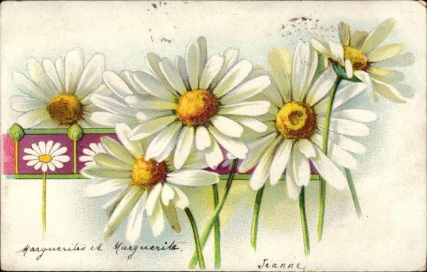Marguerites Vorderseite