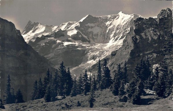 Bei Grindelwald. Finsteraahorn -  Fiescherhörner  Vorderseite