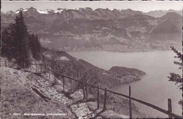 Rigi-Seeweg, Urirotstock