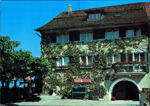 Seehotel-Restaurant Schönau, Erlenbach Vorderseite