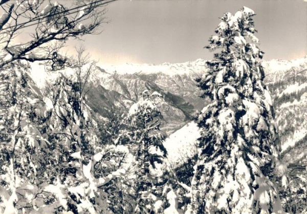 Vista della Cimetta verso le Alpi Vorderseite