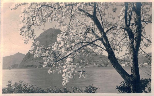Lugano Vorderseite