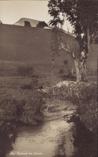 Am Islabach bei Seewis